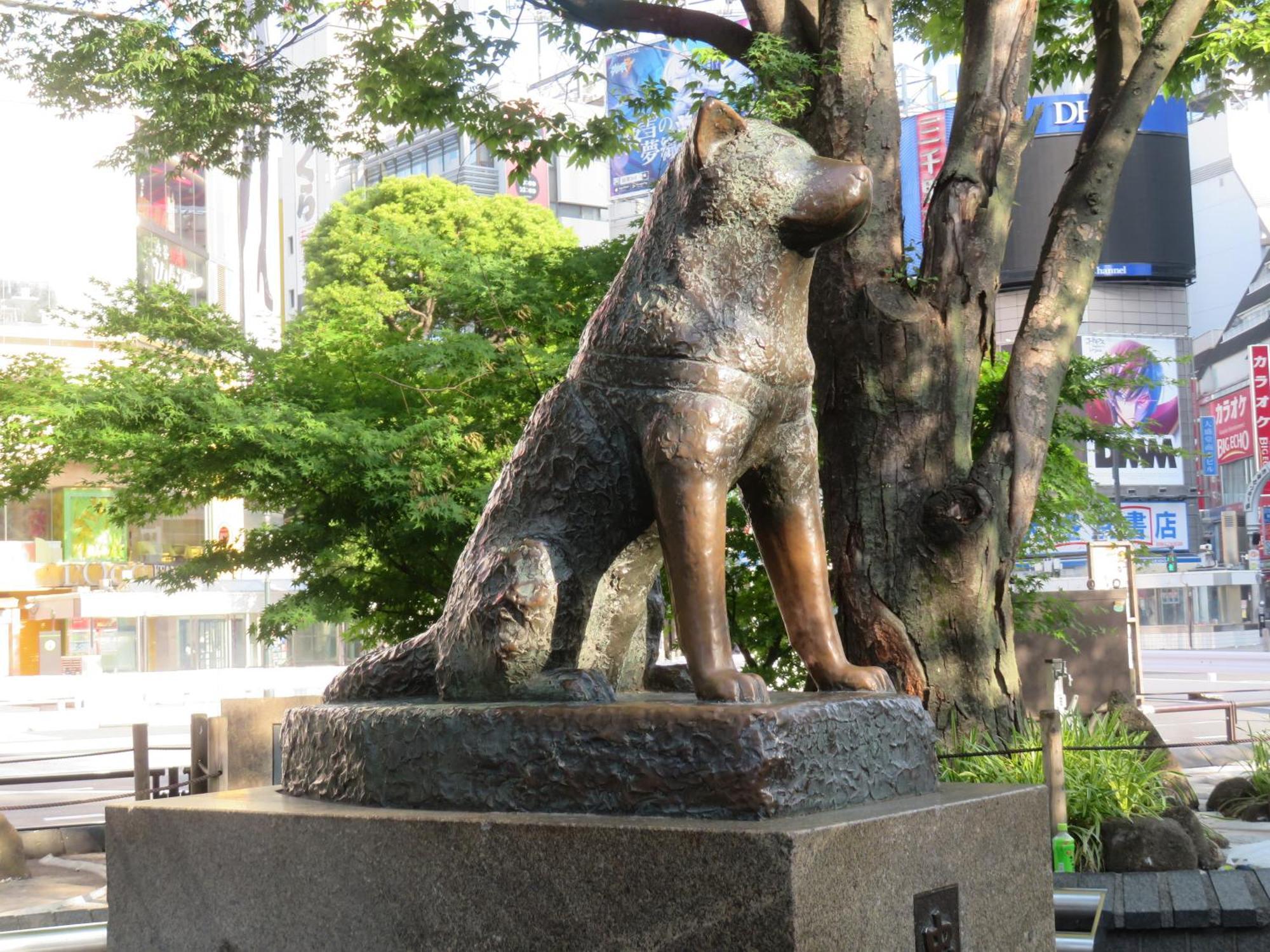 Apa Hotel Shibuya Dogenzakaue Tokyo Bagian luar foto